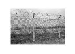 fence page36 - Greenham Common